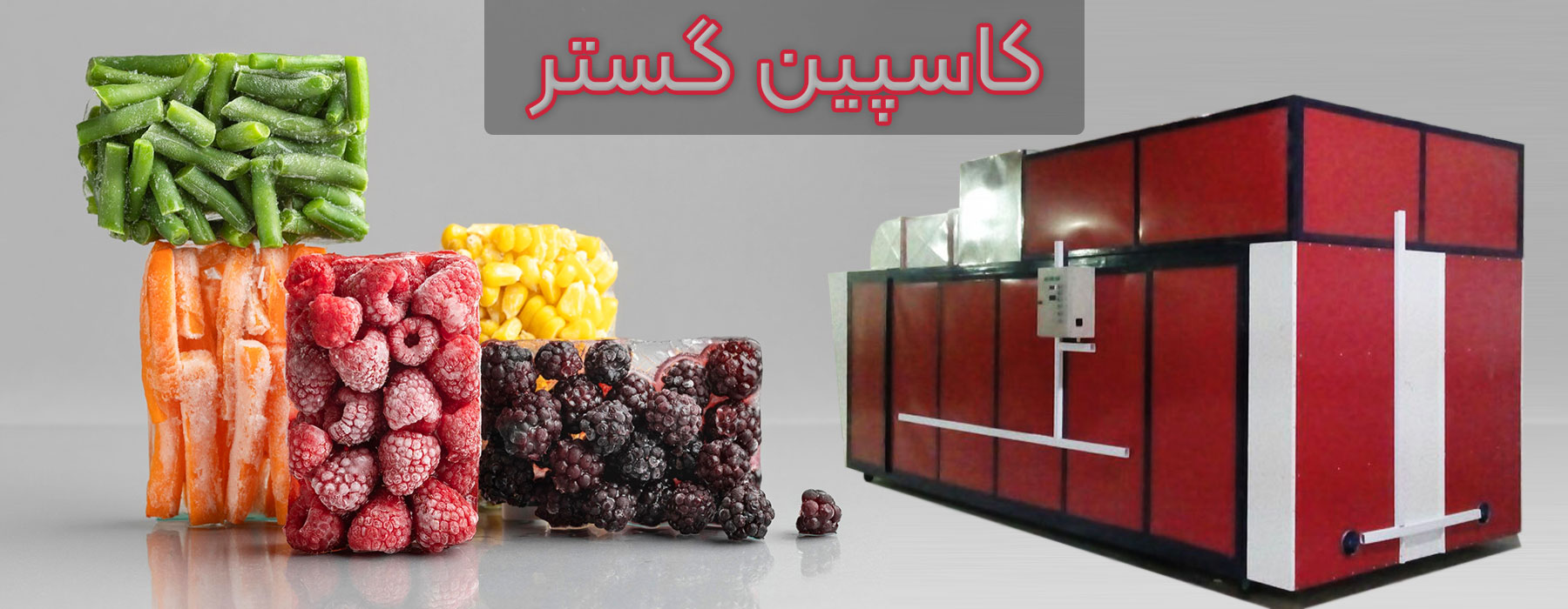 کاسپین گستر