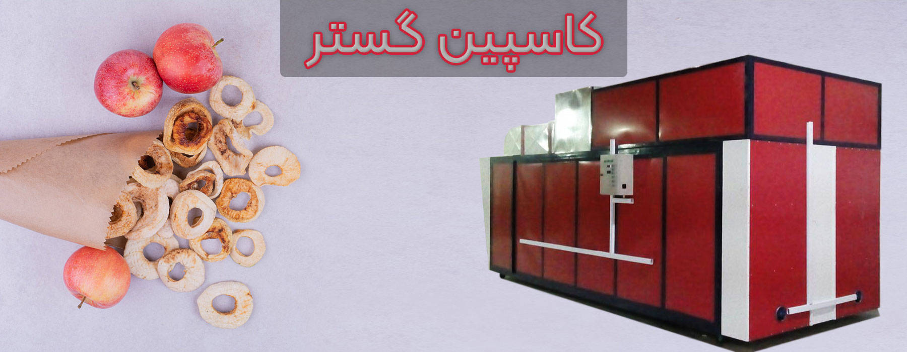 کاسپین گستر