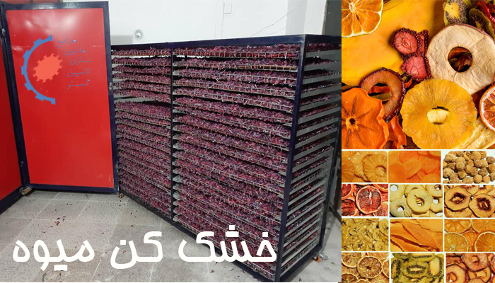 فواید زردآلوی خشک شده